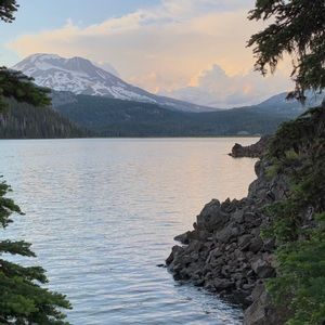 Meet your Posher, Charlie